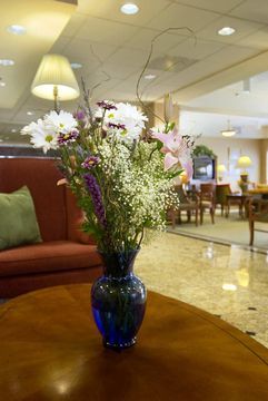 Hampton - Houston/brookhollow Hotel 3*